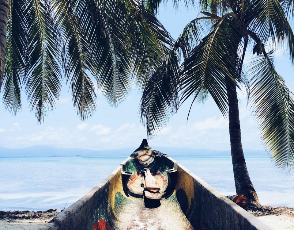 gray canoe in front of ocean